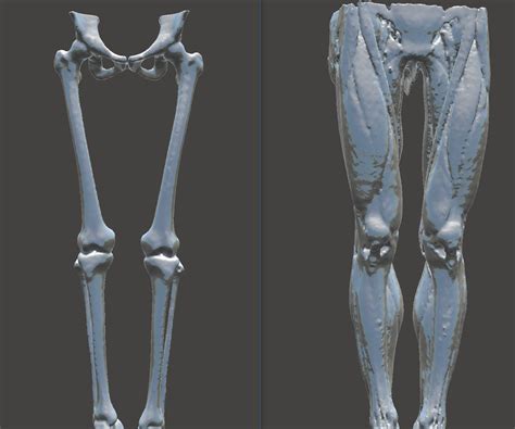 Easily Convert Medical Scans to 3D Printable Models Dicom to STL.